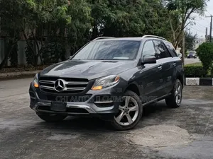Mercedes-Benz GLE-Class GLE 320 4MATIC 2017 Gray