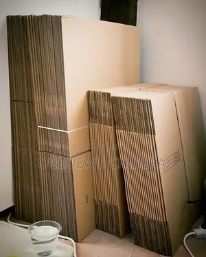 Portable Stronge Carton