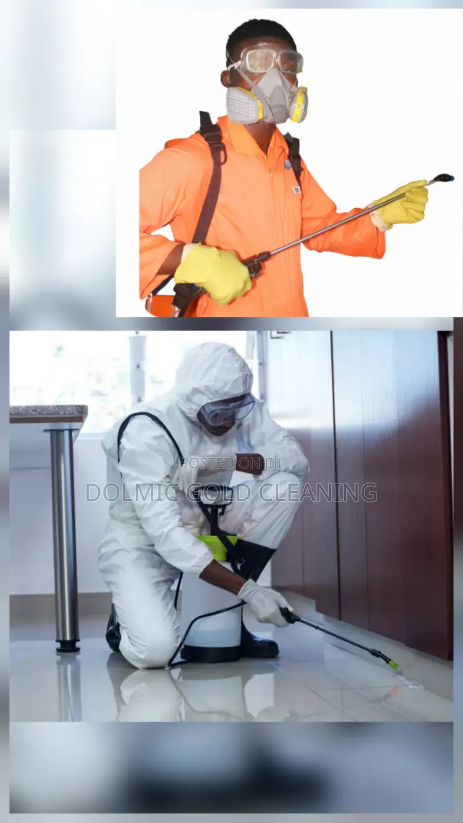 Bedbugs Fumigation.