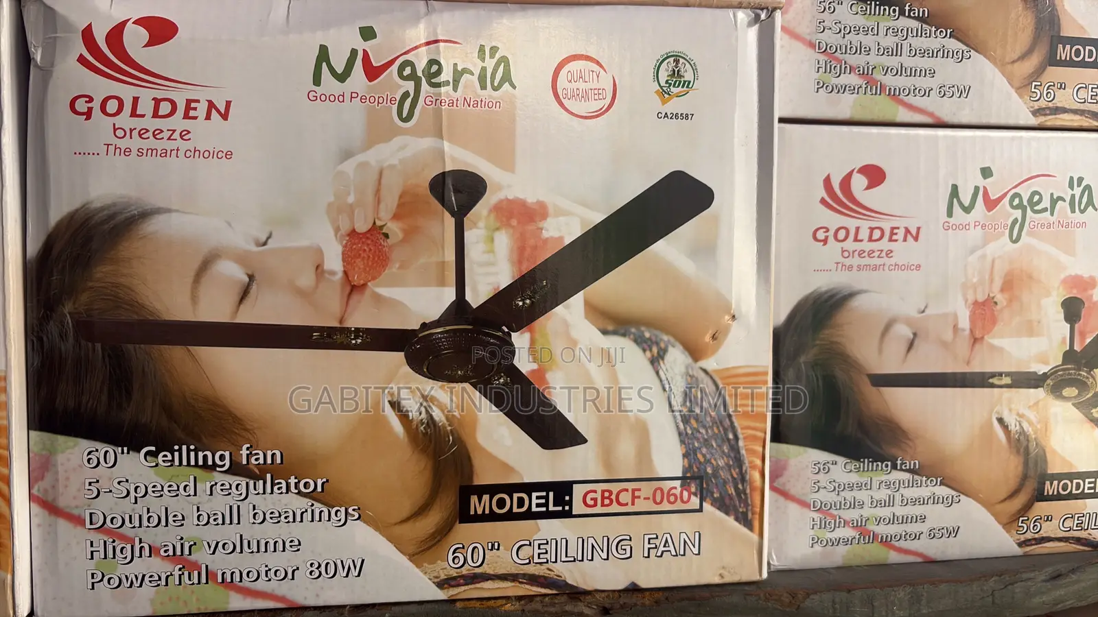 Ceiling Fan