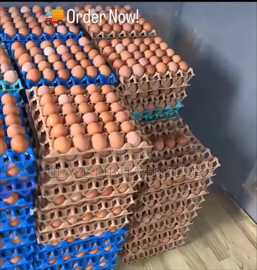 Fresh Crates of Eggs