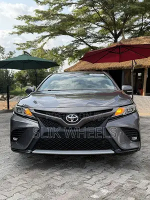Toyota Camry L (2.5L 4cyl 8A) 2019 Gray
