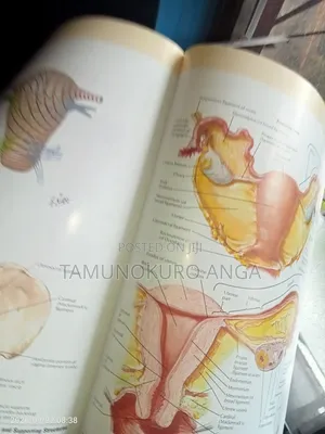 Medical Books for Sale: Affordable!