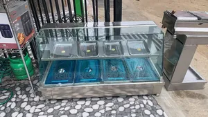 Food Warmer