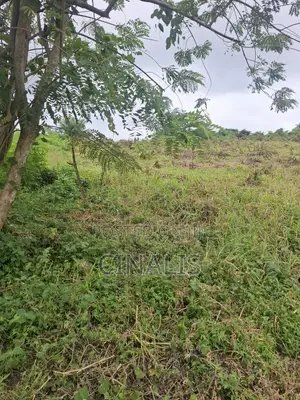 Residential Land With Registered Survey