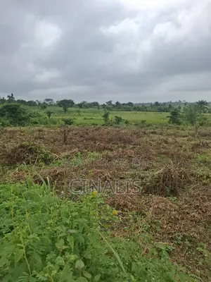 Mixed-Use Land With Deed of Assignment
