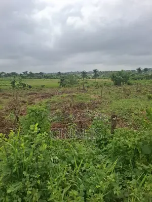 Residential Land With Survey and Deed