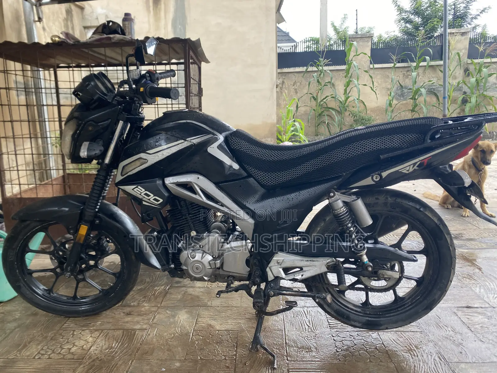 Qlink XP 200 2023 Black