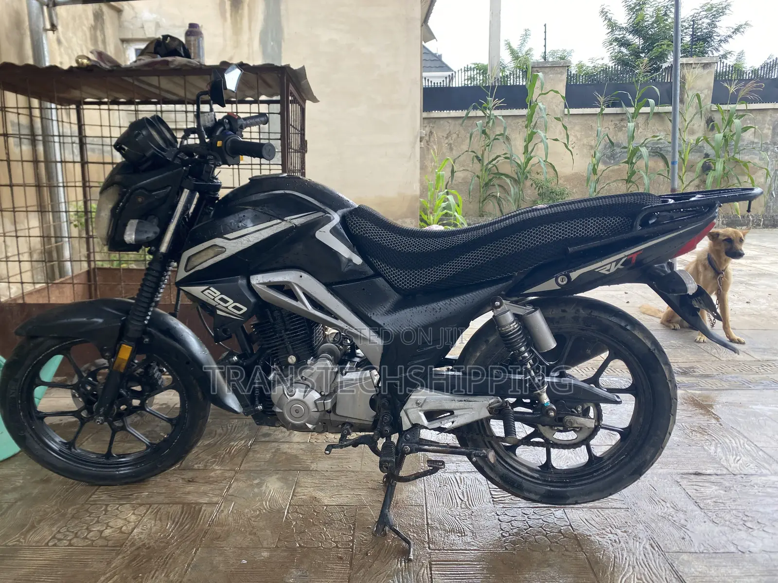Qlink XP 200 2023 Black