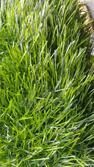 Artificial Grass for Sale Supply