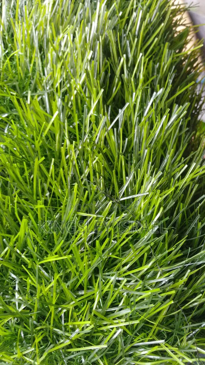 Artificial Grass for Sale Supply