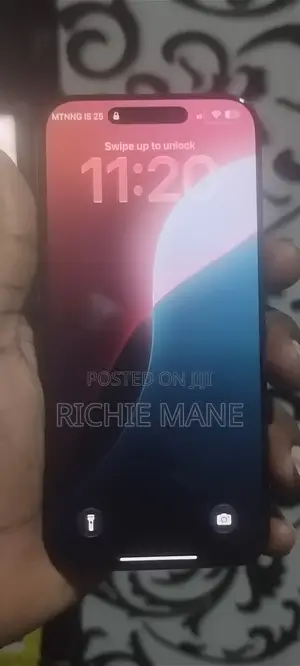 Apple iPhone 16 Pro Max 256 GB Black