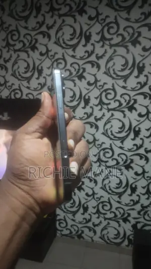 Apple iPhone 16 Pro Max 256 GB Black