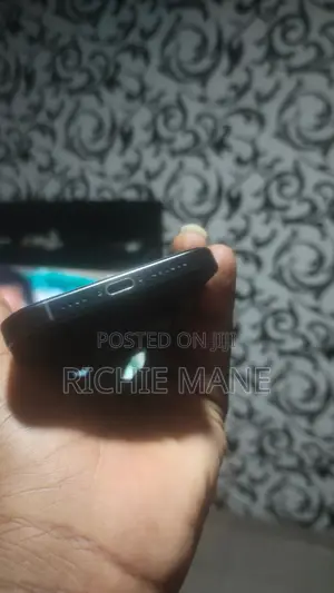 Apple iPhone 16 Pro Max 256 GB Black