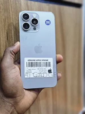 Apple iPhone 15 Pro Max 256 GB Silver