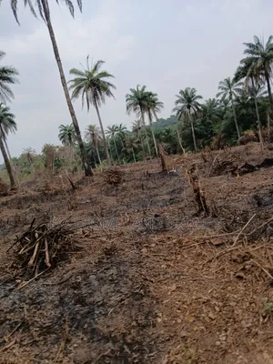 Exclusive Land Groups