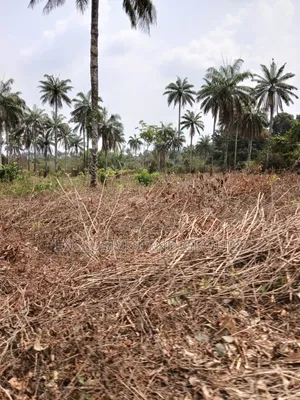 Exclusive Land Groups