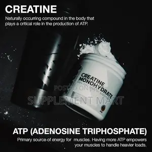 Micronized Creatine Monohydrate Powder 250G – Unflavored – 50 Servings