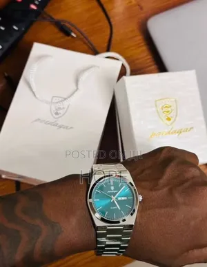 Original Poedagar Luxury Quartz Watch for Men, Silver/Teal Dial