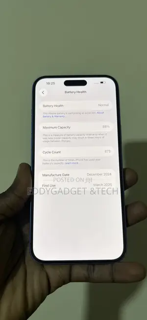 Apple iPhone 16 Plus 256 GB Blue