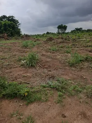 Mixed-Use Land With C of O