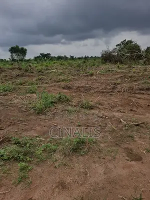 Residential Land With C of O