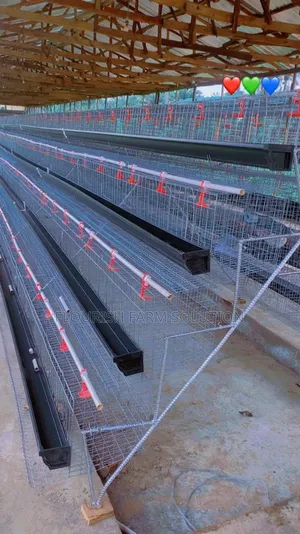 Survivor Poultry Services