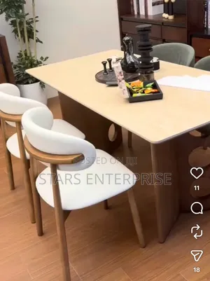 Dining Chair / Modern Restaurant Chair