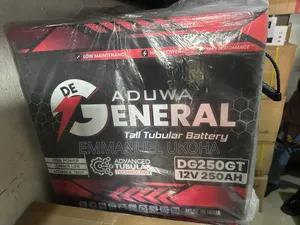 Tall Tubular Battery