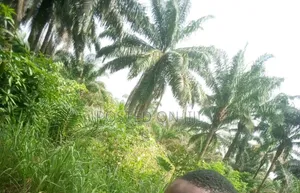 30 Plots of Land for Sale at Owaza.