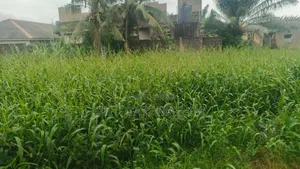 A Plot of Land Behind Mowe Police Station