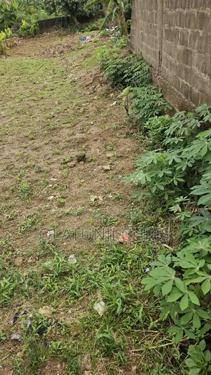 Lands for Sale