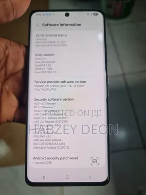 Samsung S21 Ultra Amoled Screen