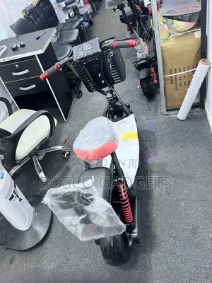2 Seater 48V Electric Scooter Brand New