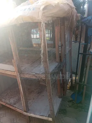 Poultry Cage
