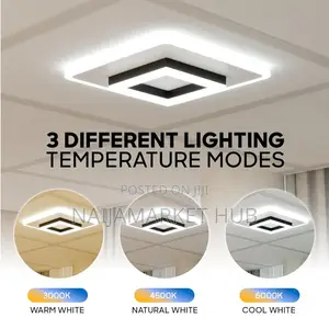 LED Acrylic Ceiling Light for Corridor Hallway Indoor Home Lights