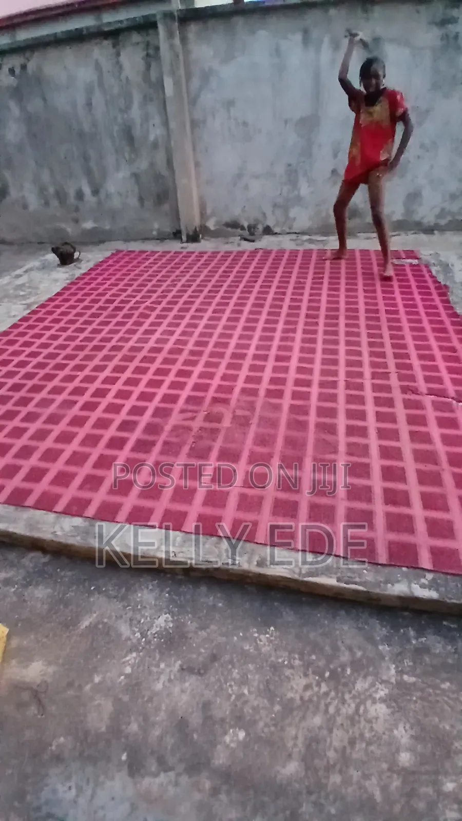 Carpet Rug