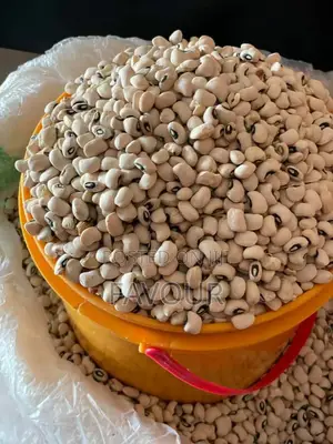 Sweet Oloyin Beans - Clean, No Stones - Per Paint Bucket and Bag