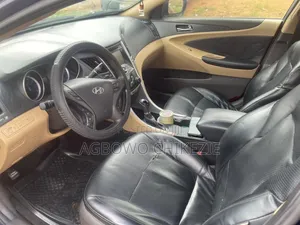 Hyundai Sonata 2010 Blue