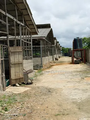 Poultry Farm Badagry Lagos State 500m