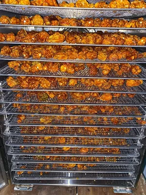 Food Dryer