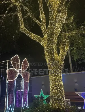 Raindrop  Christmas Light