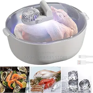 Food Defroster