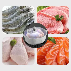 Food Defroster