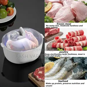 Food Defroster