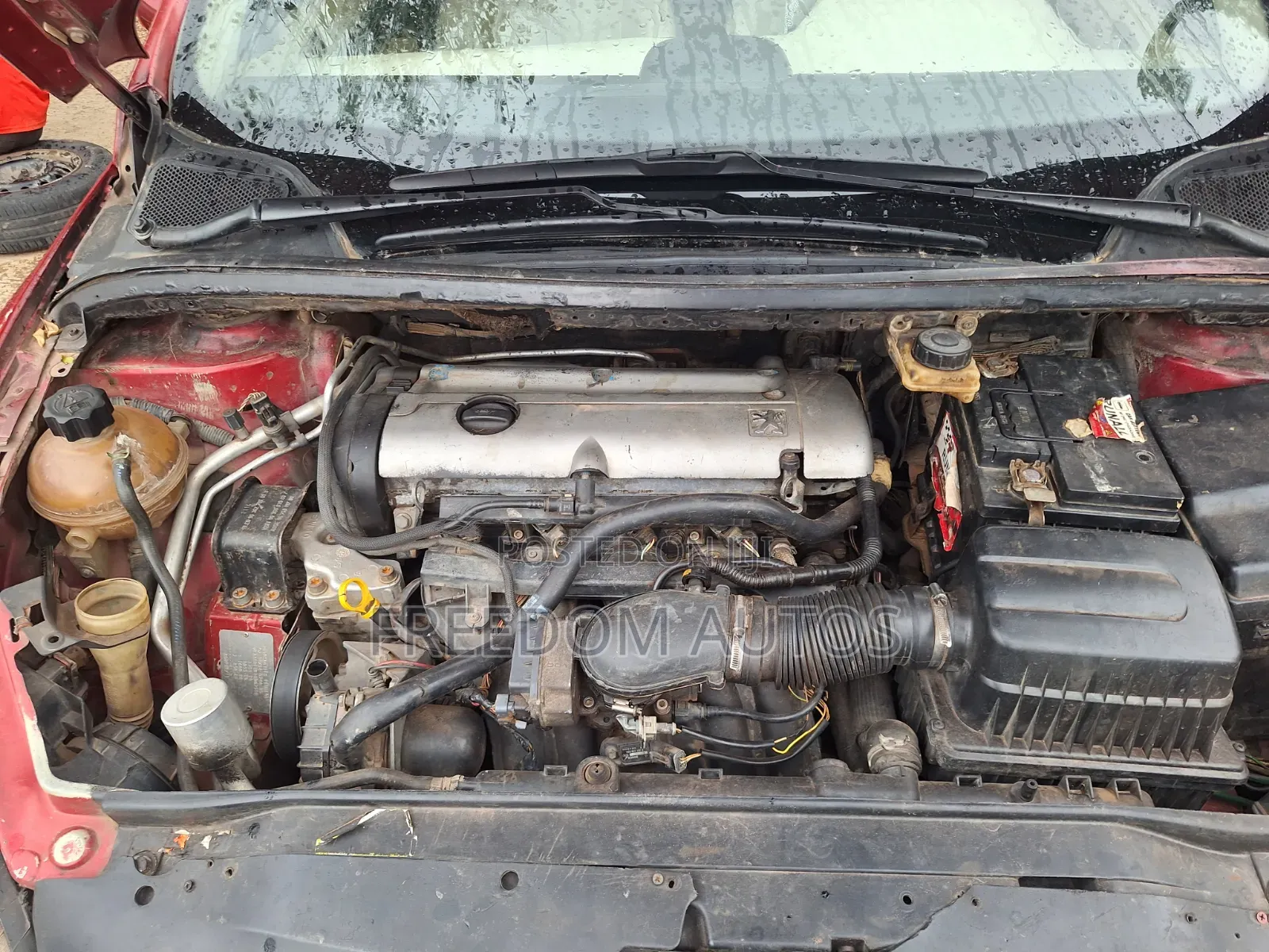 Peugeot 307 2008 Red