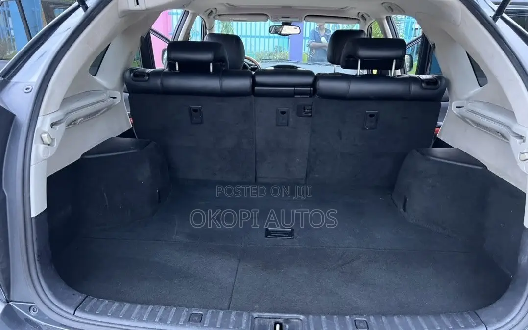 Lexus RX 2006 Black