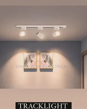 Track Light