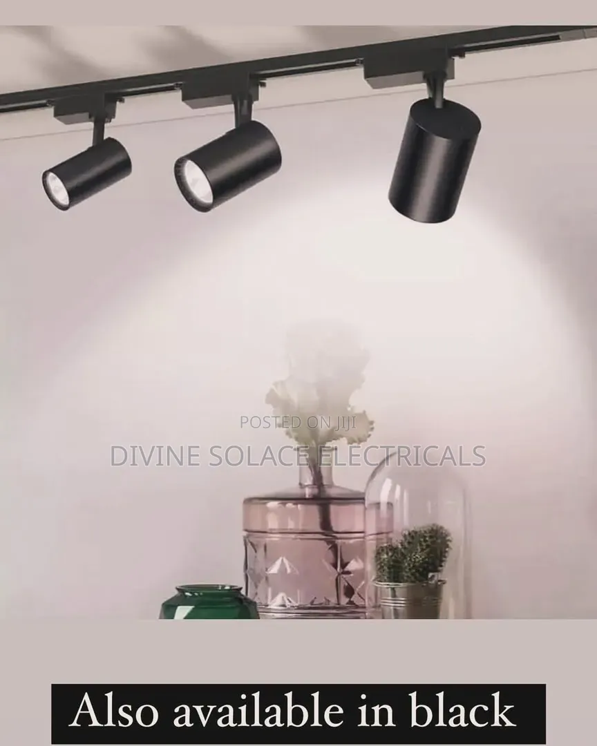 Track Light