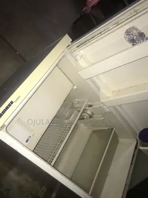 Used Cleaned Fridge